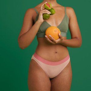 Thinx Organic Cotton Bikini underwear in Guava